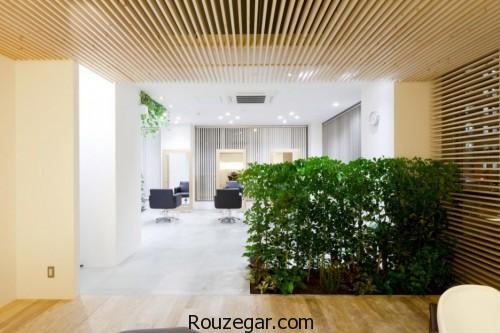 دیوارهای جدا کننده، دیوارهای جدا کننده سالن پذیرایی