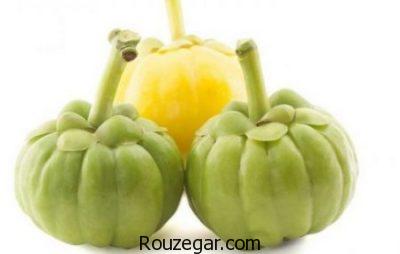 کاهش کلسترول با خواص گارسینیا،تنظیم قند خون با خواص گارسینیا،افزایش انرژی با خواص گارسینیا