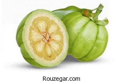 کاهش کلسترول با خواص گارسینیا،تنظیم قند خون با خواص گارسینیا،افزایش انرژی با خواص گارسینیا