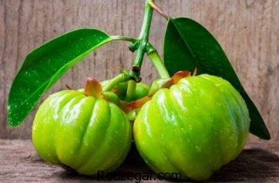 کاهش کلسترول با خواص گارسینیا،تنظیم قند خون با خواص گارسینیا،افزایش انرژی با خواص گارسینیا