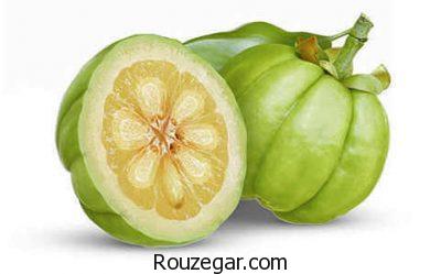 کاهش کلسترول با خواص گارسینیا،تنظیم قند خون با خواص گارسینیا،افزایش انرژی با خواص گارسینیا