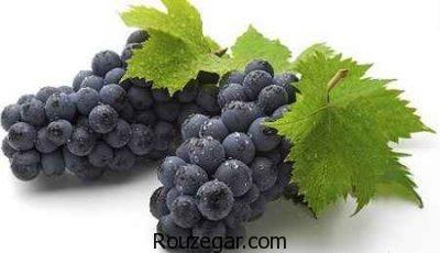 خواص انگور در لاغری،خواص انگور درمانی،خواص انگور قرمز ریز