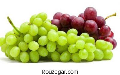 خواص انگور در لاغری،خواص انگور درمانی،خواص انگور قرمز ریز