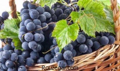 خواص انگور در لاغری،خواص انگور درمانی،خواص انگور قرمز ریز