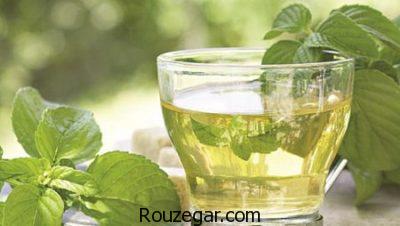 خواص نعناع،خواص نعناع گیاهی،خواص نعناع برای درد