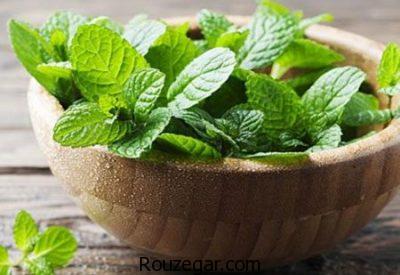 خواص نعناع،خواص نعناع گیاهی،خواص نعناع برای درد