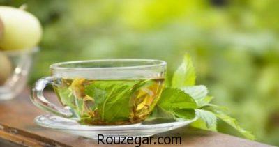 خواص نعناع،خواص نعناع گیاهی،خواص نعناع برای درد