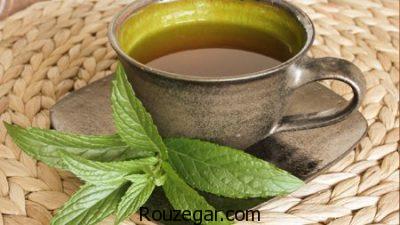 خواص نعناع،خواص نعناع گیاهی،خواص نعناع برای درد