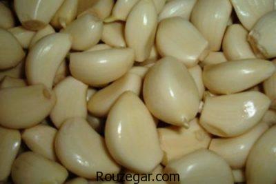 خواص سیر ترشی،خواص سیر ترشی در بارداری،خواص سیر