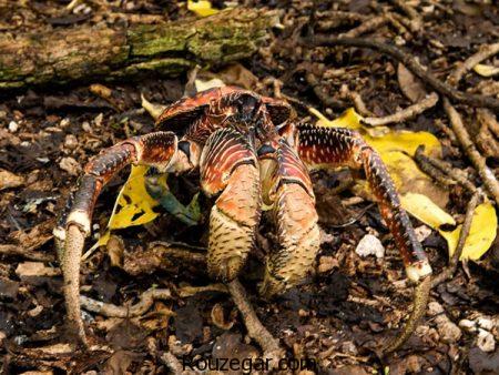 عکس عجایب دنیا، عکس عجایب