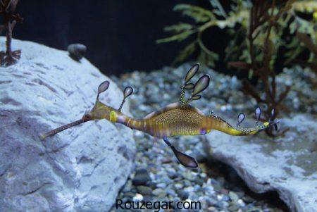 عکس عجایب دنیا، عکس عجایب