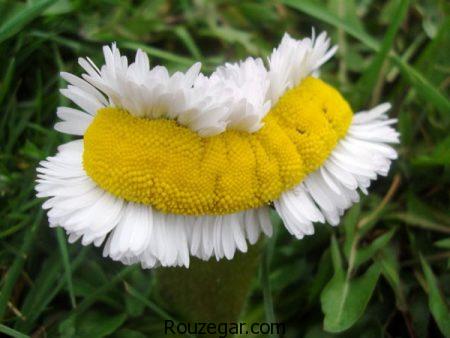 عکس عجایب دنیا، عکس عجایب