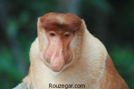 عکس عجایب دنیا، عکس عجایب