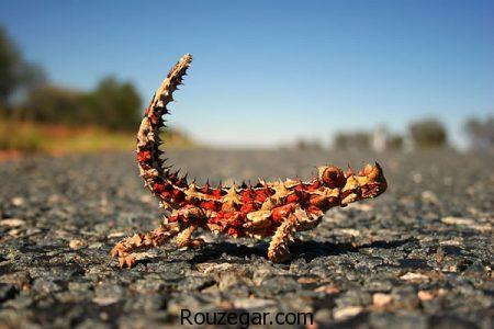 عکس عجایب دنیا، عکس عجایب