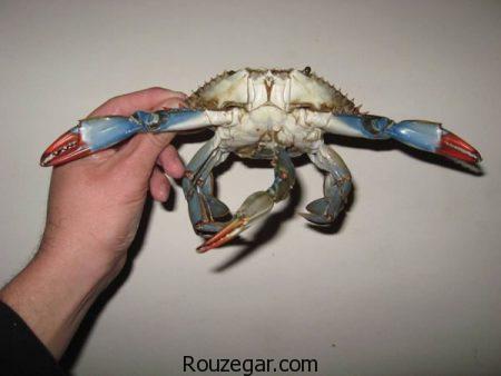 عکس عجایب دنیا، عکس عجایب