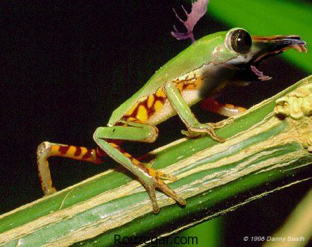 عکس عجایب دنیا، عکس عجایب