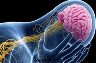 دارو برای بیماری صرع،دلیل حملات صرع،درمان صرع با طب سنتی