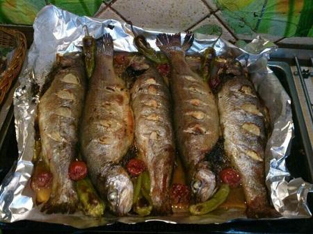  ماهی شکم پر,طرز تهیه ماهی شکم پر با رب انار,آموزش ماهی شکم پر با تمر هندی 