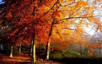 تصاویر پاییزی، تصاویر پاییزی عاشقانه،تصاویر پاییزی زیبا