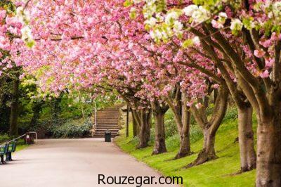 Spring-images-rouzegar-7-400x266.jpg