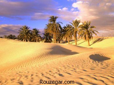 عکس کویر، عکس زیباترین کویرها در جهان