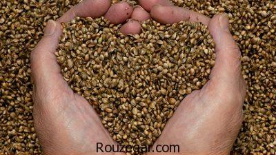 خواص گندم سیاه برای کیسه صفرا,ویتامین های گندم سیاه,خواص گندم سیاه برای دیابت