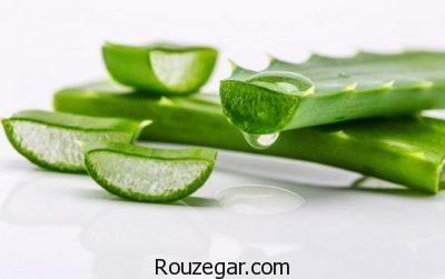 خواص آلوئه ورا در طب سنتی،خواص آلوئه ورا در بارداری،خواص آلوئه ورا برای مو