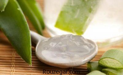 خواص آلوئه ورا در طب سنتی،خواص آلوئه ورا در بارداری،خواص آلوئه ورا برای مو