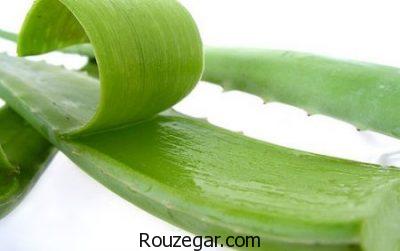 خواص آلوئه ورا در طب سنتی،خواص آلوئه ورا در بارداری،خواص آلوئه ورا برای مو