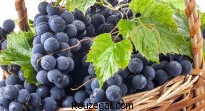 خواص انگور شانی در بارداری،خواص انگور شانی برای پوست،خواص انگور شانی برای سرفه