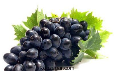 خواص انگور شانی در بارداری،خواص انگور شانی برای پوست،خواص انگور شانی برای سرفه