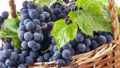 خواص انگور سیاه و دیابت،خواص انگور سیاه برای پوست،خواص انگور سیاه برای لاغری