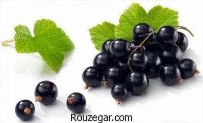 خواص انگور سیاه و دیابت،خواص انگور سیاه برای پوست،خواص انگور سیاه برای لاغری