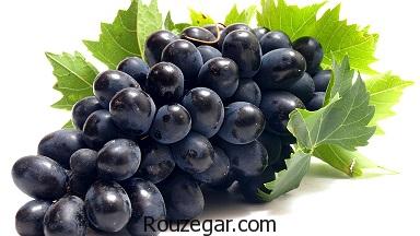 خواص انگور سیاه و دیابت،خواص انگور سیاه برای پوست،خواص انگور سیاه برای لاغری