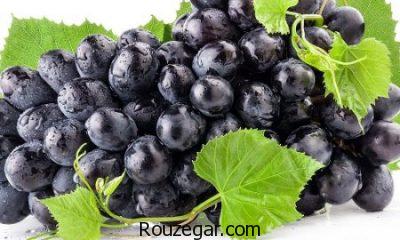 خواص انگور سیاه و دیابت،خواص انگور سیاه برای پوست،خواص انگور سیاه برای لاغری
