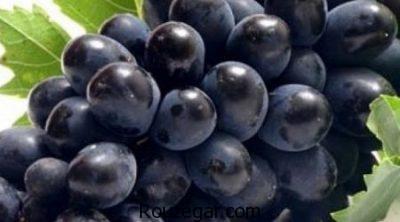 خواص انگور سیاه و دیابت،خواص انگور سیاه برای پوست،خواص انگور سیاه برای لاغری