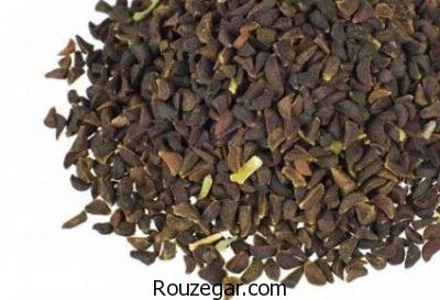 خواص بالنگو برای ضعف،خواص بالنگو برای اسهال،خواص بالنگو برای سرفه