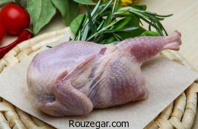 خواص گوشت بلدرچین برای جنین،خواص گوشت بلدرچین برای جنین،خواص گوشت بلدرچین