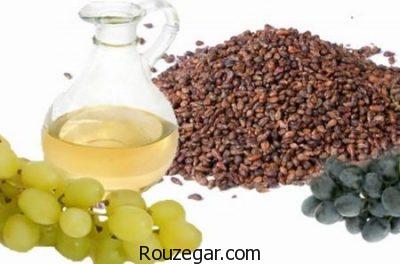 خواص هسته انگور برای مو،خواص هسته انگور در طب سنتی،خواص هسته انگور