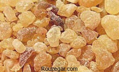 خواص سقز برای کبد،خواص سقز برای درد،خواص سقز برای بهبود زخم