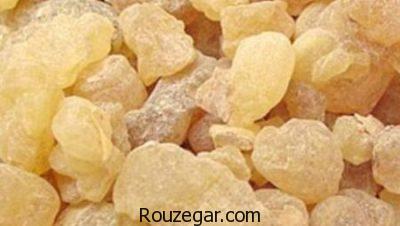 خواص سقز برای کبد،خواص سقز برای درد،خواص سقز برای بهبود زخم