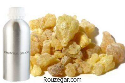 خواص سقز برای کبد،خواص سقز برای درد،خواص سقز برای بهبود زخم