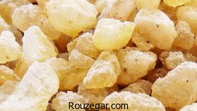 خواص سقز برای کبد،خواص سقز برای درد،خواص سقز برای بهبود زخم