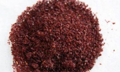 خواص سماق خواص سماق,خواص سماق در لاغری,خواص سماق دم کرده,خواص سماق قرمز,خواص سماق کوهی,خواص سماق قهوه ای,خواص سماق برای کبد,خواص سماق برای پوست و زیبایی زنان