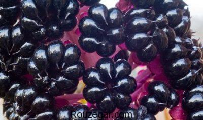 خواص سرخاب ریزش مو،خواص سرخاب برای جوش چرکین،خواص سرخاب چیست