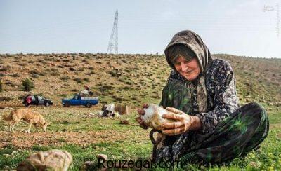 عکس عشایر، عکس عشایر ایرانی
