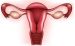 درمان طبیعی نازایی در زنان،انواع نازایی در زنان،روشهای درمان نازایی در زنان