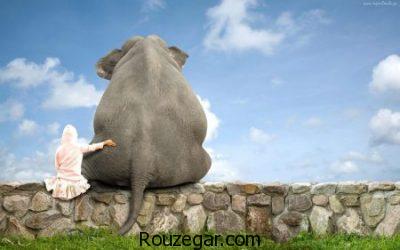 عکس از فیل، عکس فیل ها