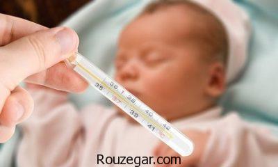 درمان تب با طب سنتی،درمان تب با داروهای گیاهی،درمان سریع تب