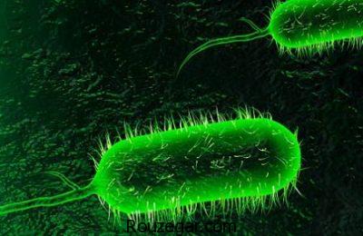 علت بیماری وبا،پیشگیری از وبا،نشانه بیماری وبا